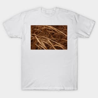 December's Grasses T-Shirt